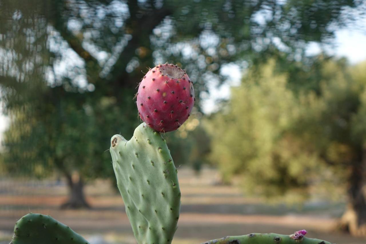 Giardino Del Tempo Villa Merine Dış mekan fotoğraf